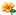 支持